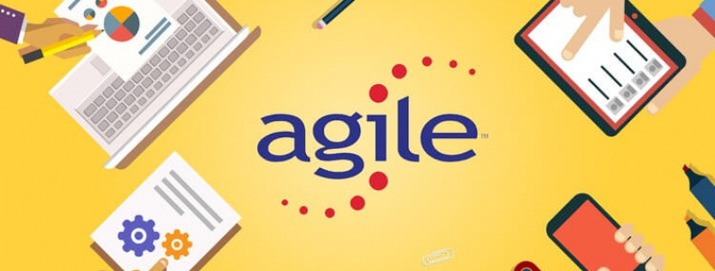 Effective project management with Agile modeling